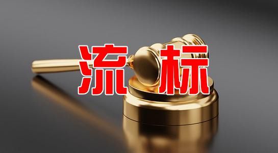 防弹背心外套采购项目流标公告