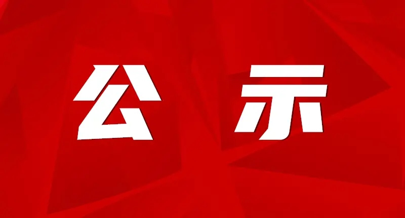 芜湖张家港市金威金融服务有限公司公开招聘派遣人员（补录） 拟录用人员公示